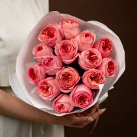 15 пинк экспрешн