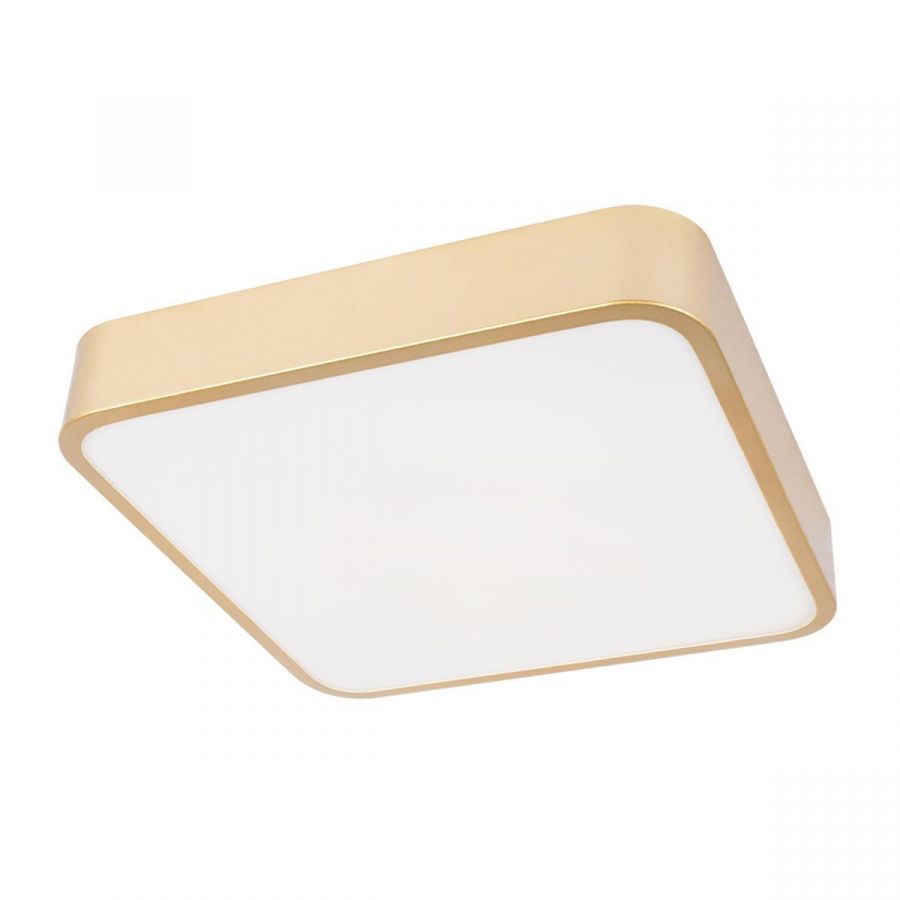 Потолочный светодиодный светильник Loft IT Flims 10228/C