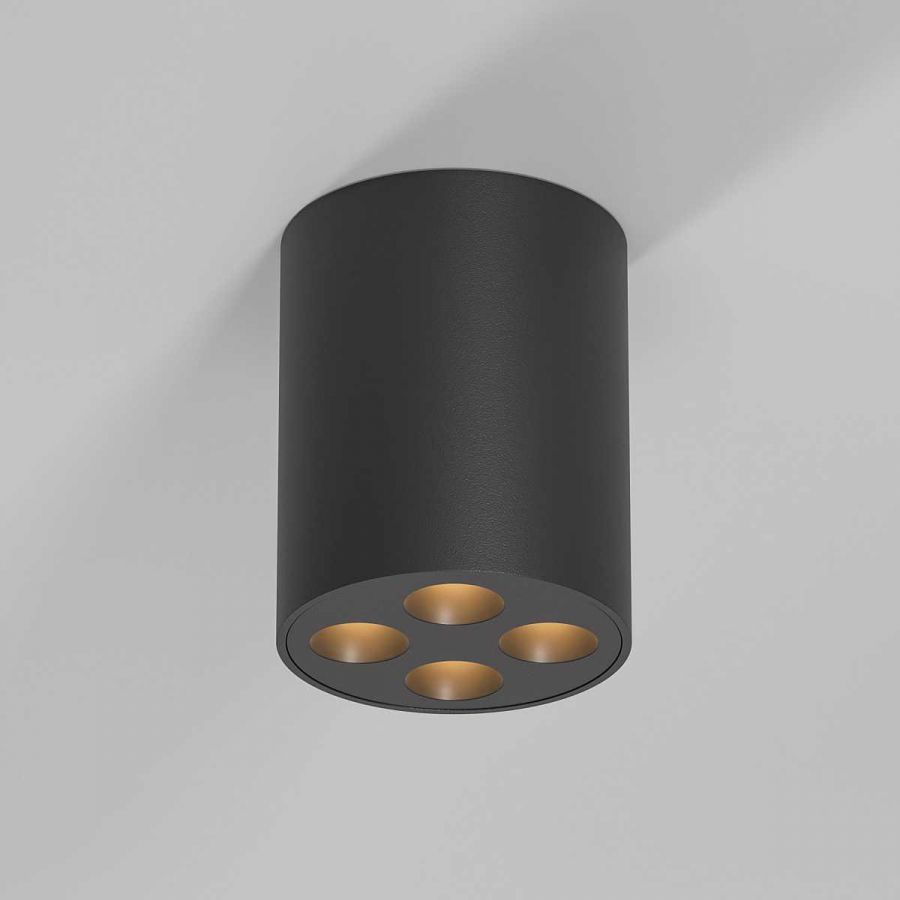 Потолочный светильник Elektrostandard 25111/LED a067484