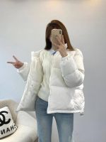 Пуховик CELINE HOMME