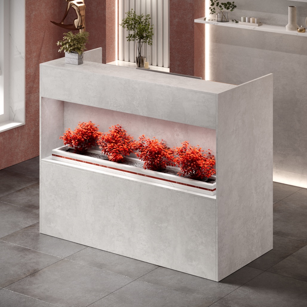 Ресепшн «Ботаника» Цемент светлый