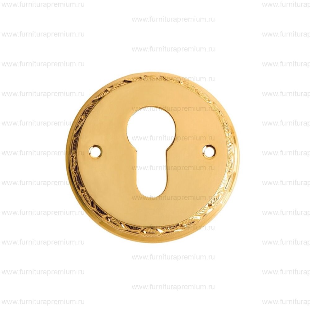 Накладка на замок с цилиндром Mestre EY2719