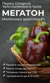 Перец сладкий Мегатон молочный шоколад F1 (Уральский Дачник)