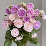 Блу Мун Стоун (Blue Moon Stone)