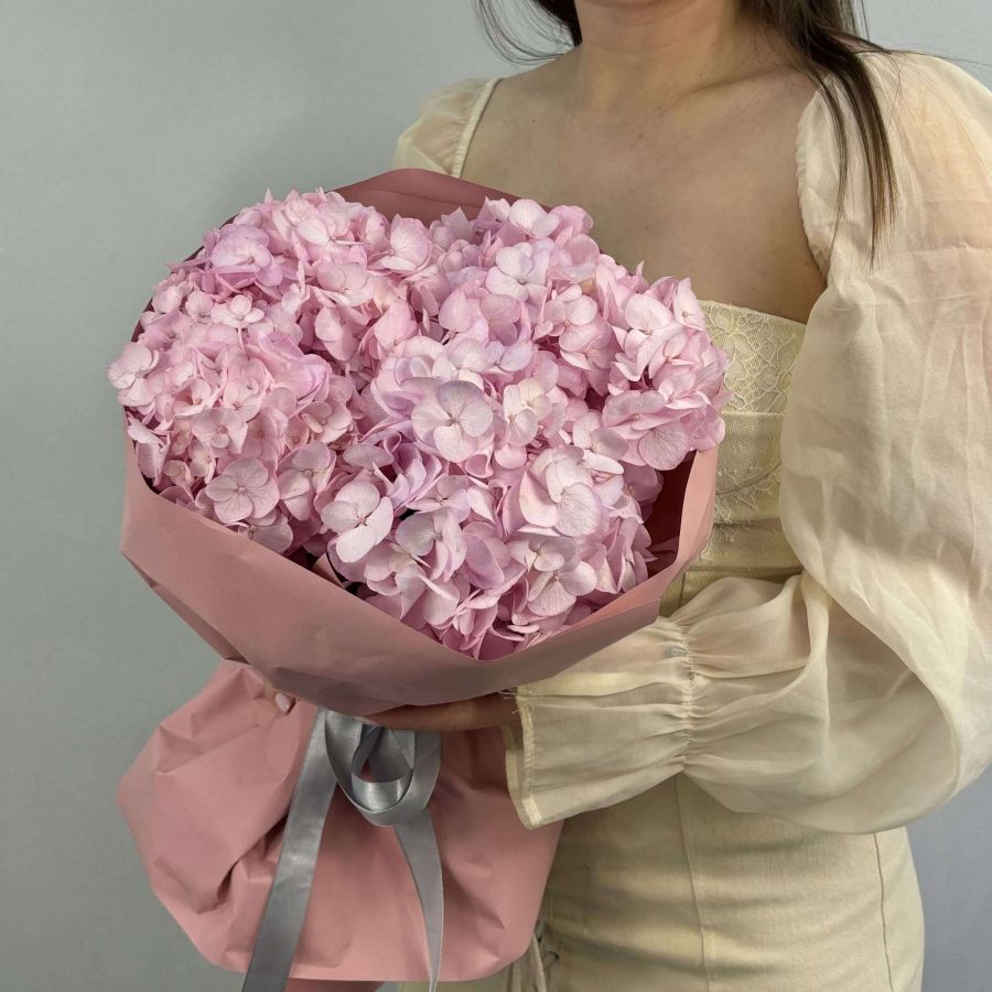 3 Гортензии