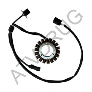 P003I00311200700 Магнитный статор двигателя в сборе