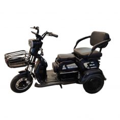 Электротрицикл CityCoco Trike GT EV3 60V 20AH