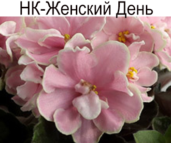 НК-Женский День (Козак)