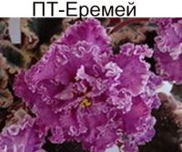 ПТ-Еремей