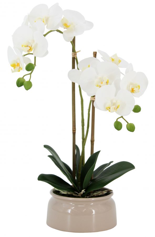 Искусственная орхидея в керамическом горшке, высота 46 см, цвет белый, количество соцветий 2