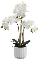 Искусственная орхидея в пластиковом горшке, высота 61 см, цвет белый, количество соцветий 3