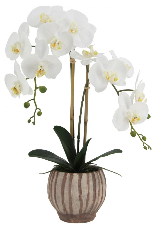 Искусственная орхидея в цементном горшке, высота 56 см, цвет белый, количество соцветий 2