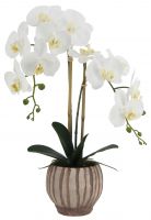 Искусственная орхидея в цементном горшке, высота 56 см, цвет белый, количество соцветий 2