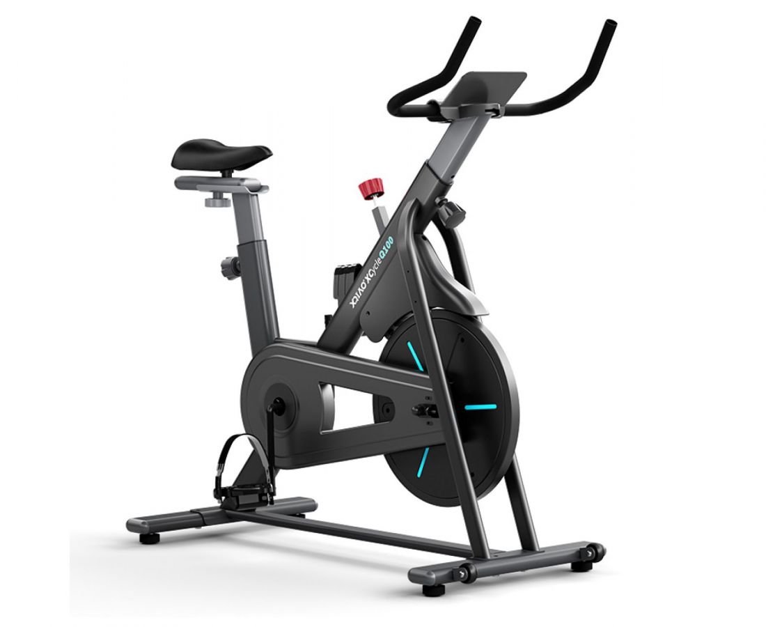 Спин-байк DFC OVICX B-Q100B