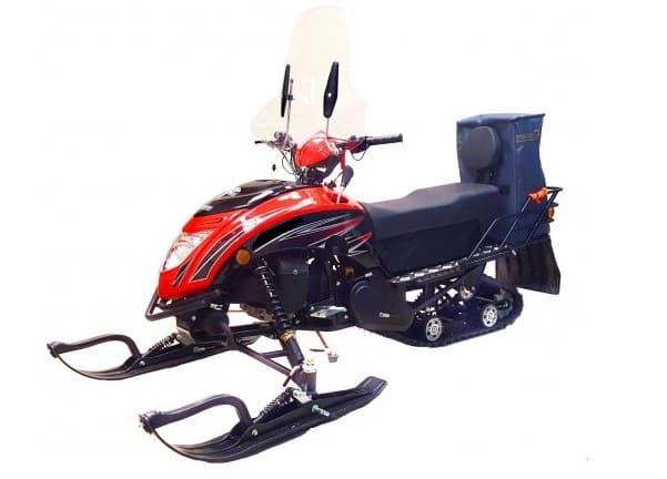 Снегоход REGULMOTO Raccoon (без ПСМ), разборный