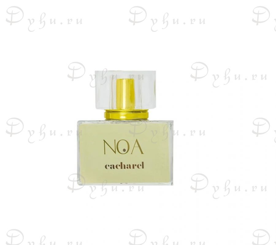 Cacharel Noa, 30 ml arabian