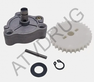 P010000151100000 Масляный насос в сборе