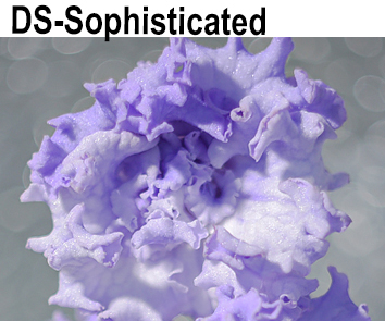 DS-Sophisticated (Диметрис)  НОВИНКА КАТАЛОГА!