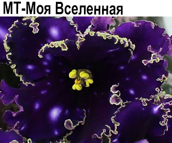 МТ-Моя Вселенная (Тотиева)  НОВИНКА