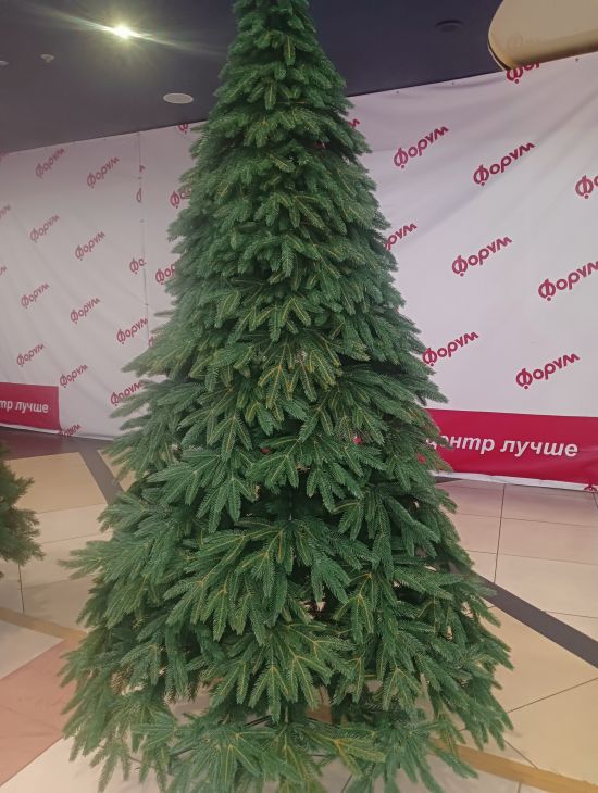 Ель Саратовская   Литая