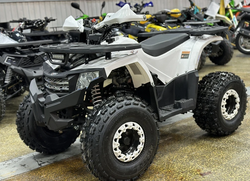 Квадроцикл PROMAX WILD 2.0 190