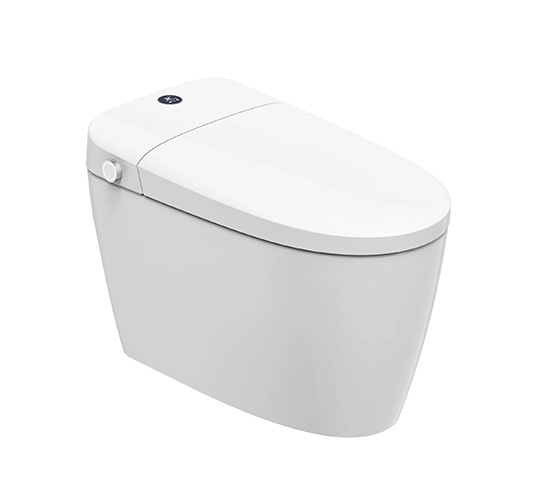 Умный туалет ZN-109