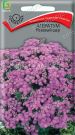 Ageratum-Rozovyj-shar-0-1-g-Poisk