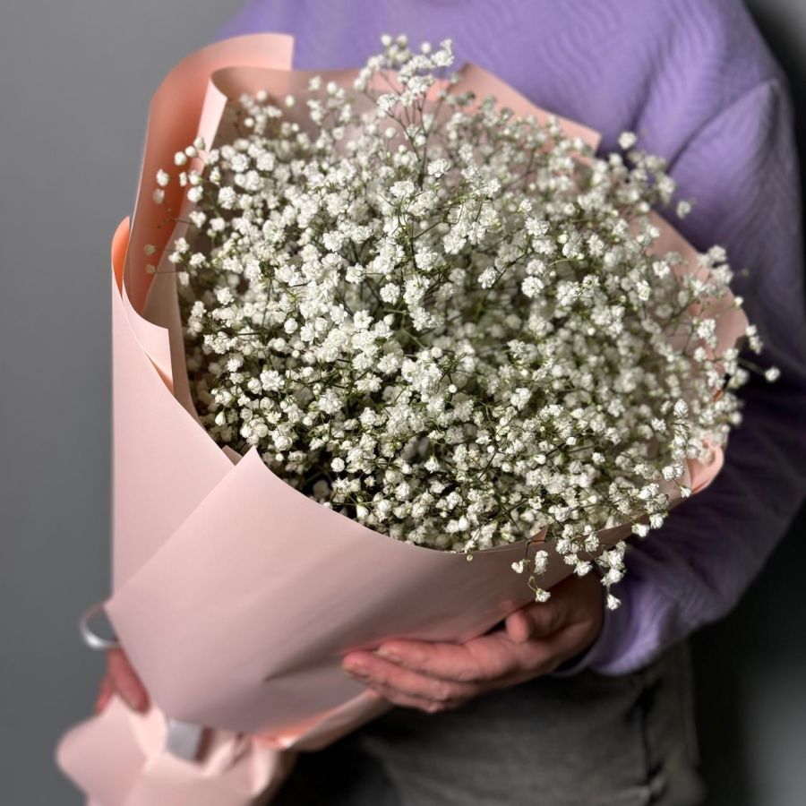 Гипсофила белая 5шт