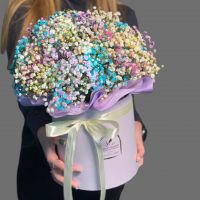 Цветная гипсофила в коробке