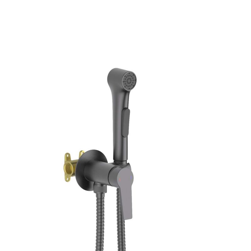 Смеситель с гигиеническим душем Aquatek Лугано, оружейная сталь AQ1719BGM