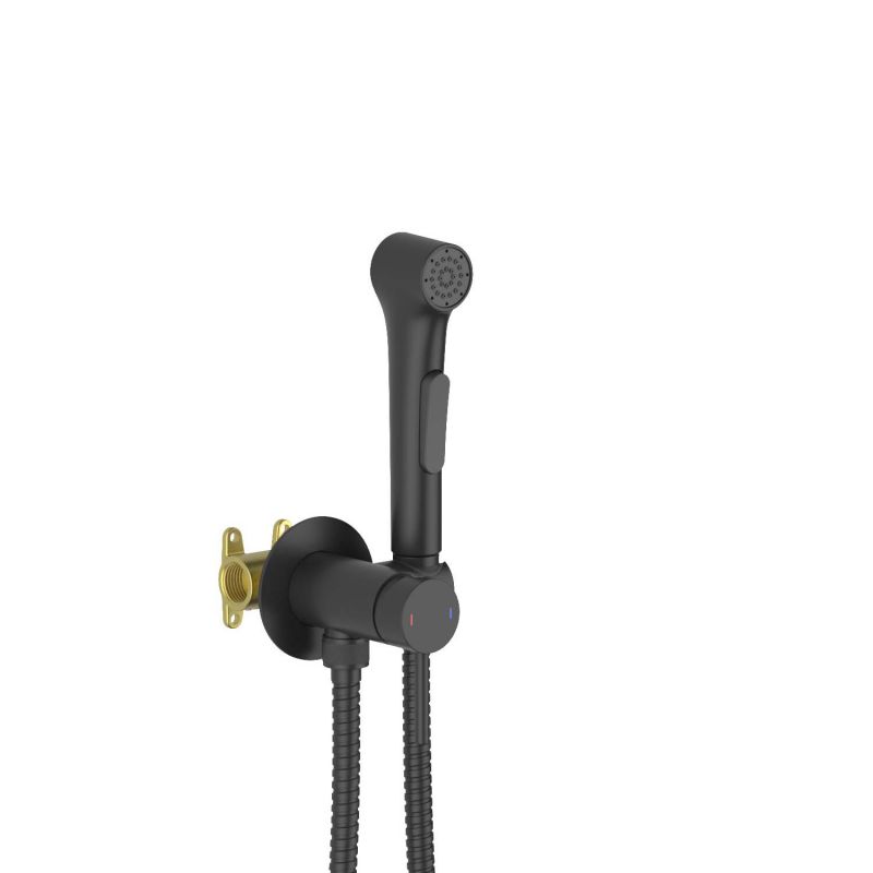 Смеситель с гигиеническим душем Aquatek Европа , черный матовый AQ1020MB
