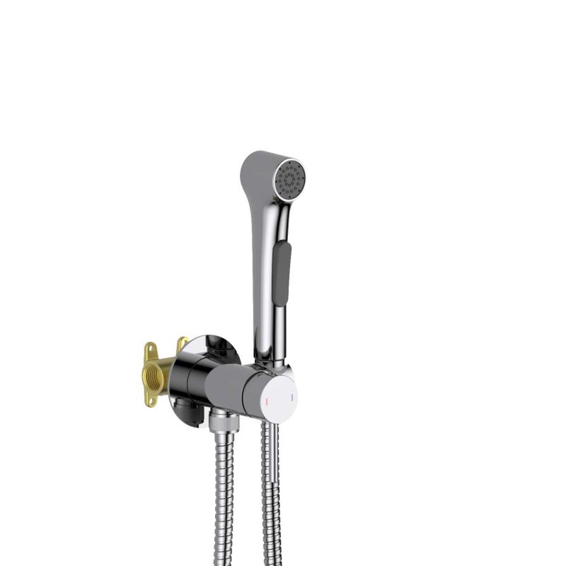 Смеситель с гигиеническим душем Aquatek Европа , хром AQ1020CR