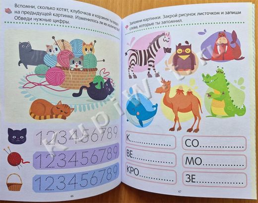 Тренировка памяти перед школой