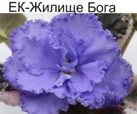 ЕК-Жилище Бога