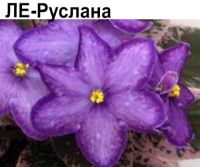 ЛЕ-Руслана
