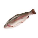 Рыба опт, розница