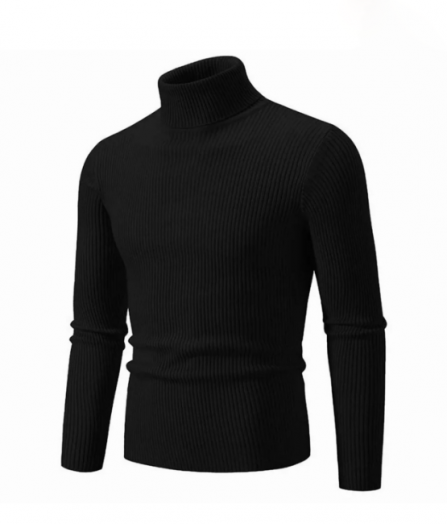 Водолазка мужская 51643