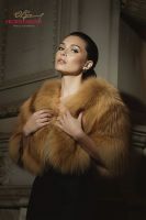 Палантин-накидка из лисы-огневки