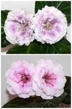 ЕН-Затерянный Рай/ЕН-Лилабелла