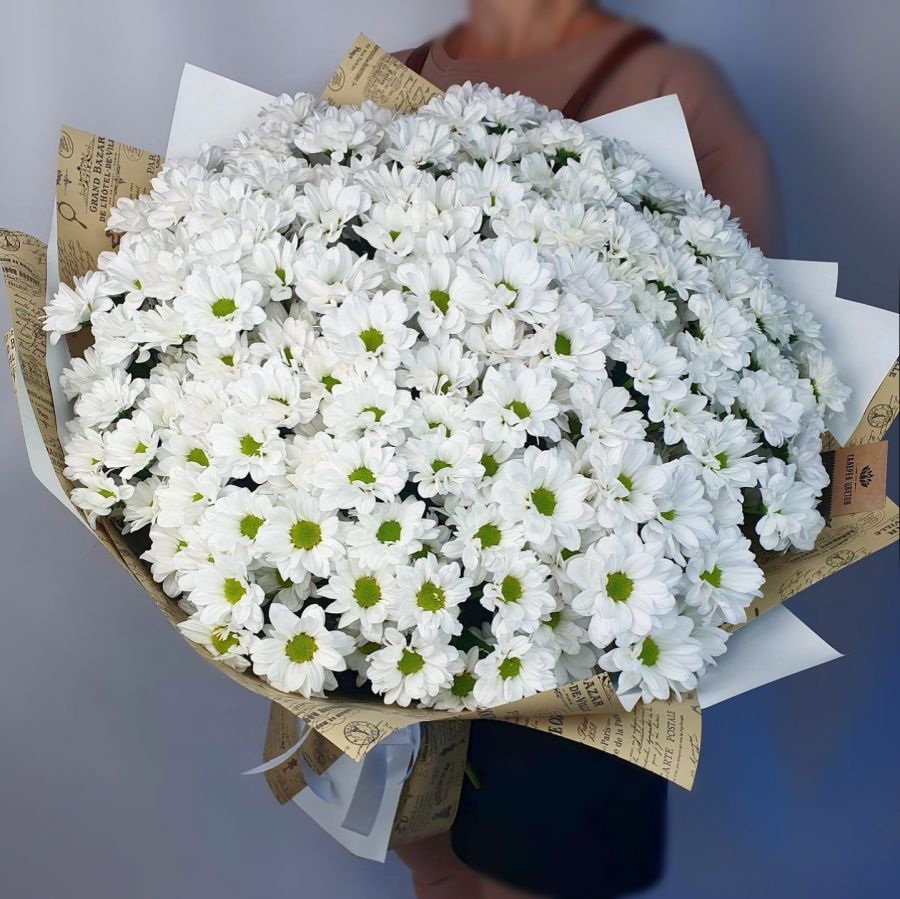 25 белых кустовых хризантем