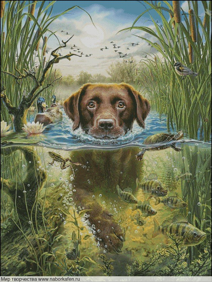 Набор для вышивания "Пловец"