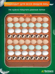 Инкубатор на 56 куринных яиц, с резервным питанием,  автоматическим переворотом и встроенным овоскопом