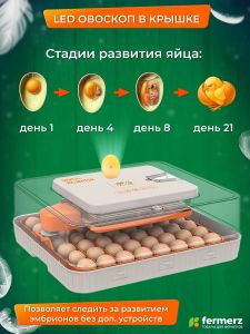 Инкубатор на 56 куринных яиц, с резервным питанием,  автоматическим переворотом и встроенным овоскопом