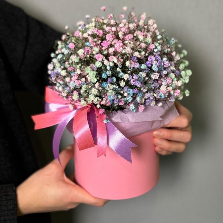 Радужная гипсофила в коробке S