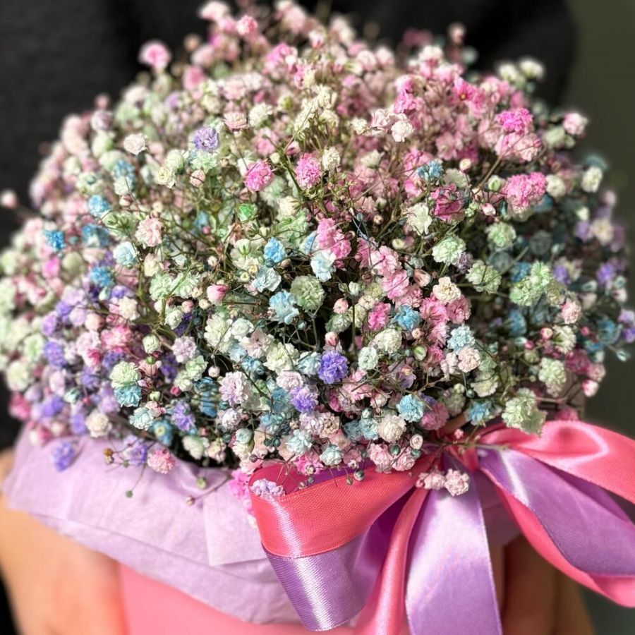 Радужная гипсофила в коробке S