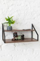 Стеллаж настенный-настольный Ангули 250х450