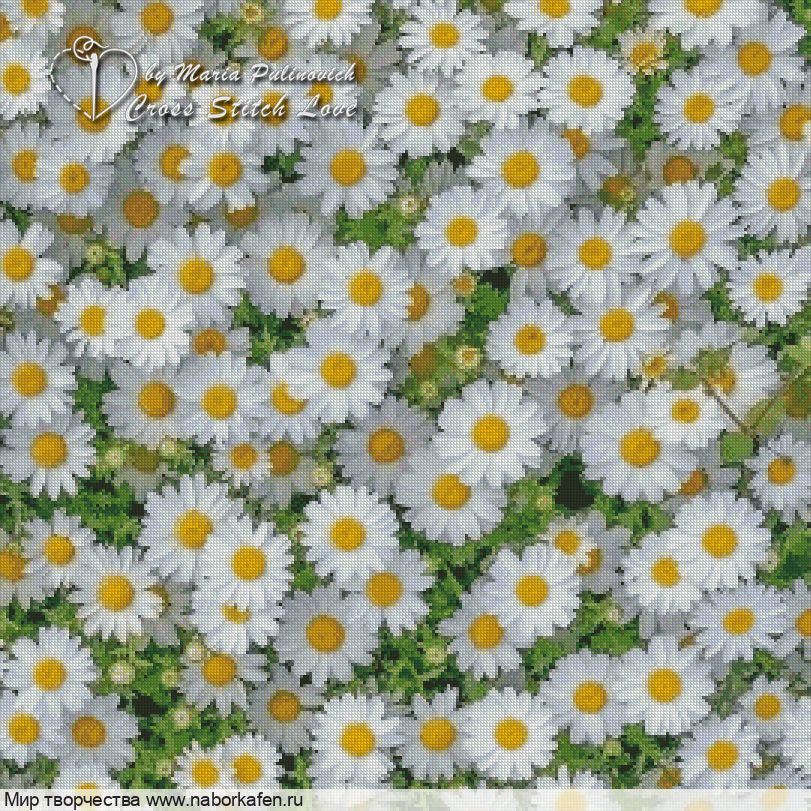 Набор для вышивания "Ромашки"