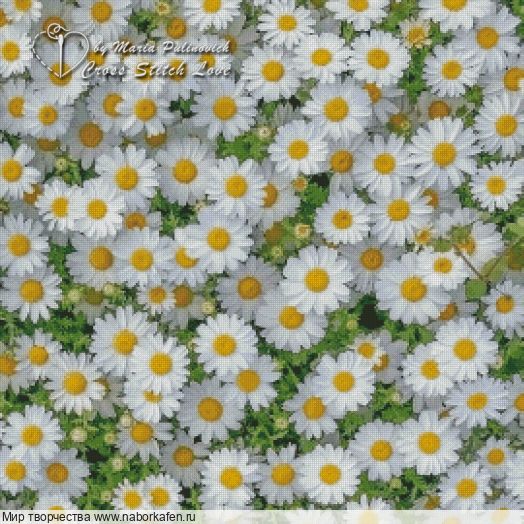 Набор для вышивания "Ромашки"