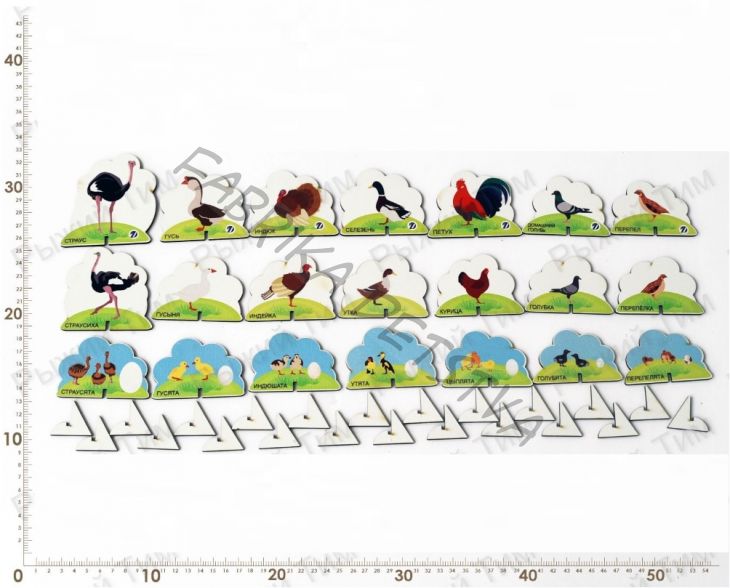 Игровой набор ДОМАШНИЕ ПТИЦЫ 21 штука + мультфильмы от Рыжего Тима	ИО-308