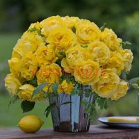 Хие Камс зе Сан (Here Comes the Sun)